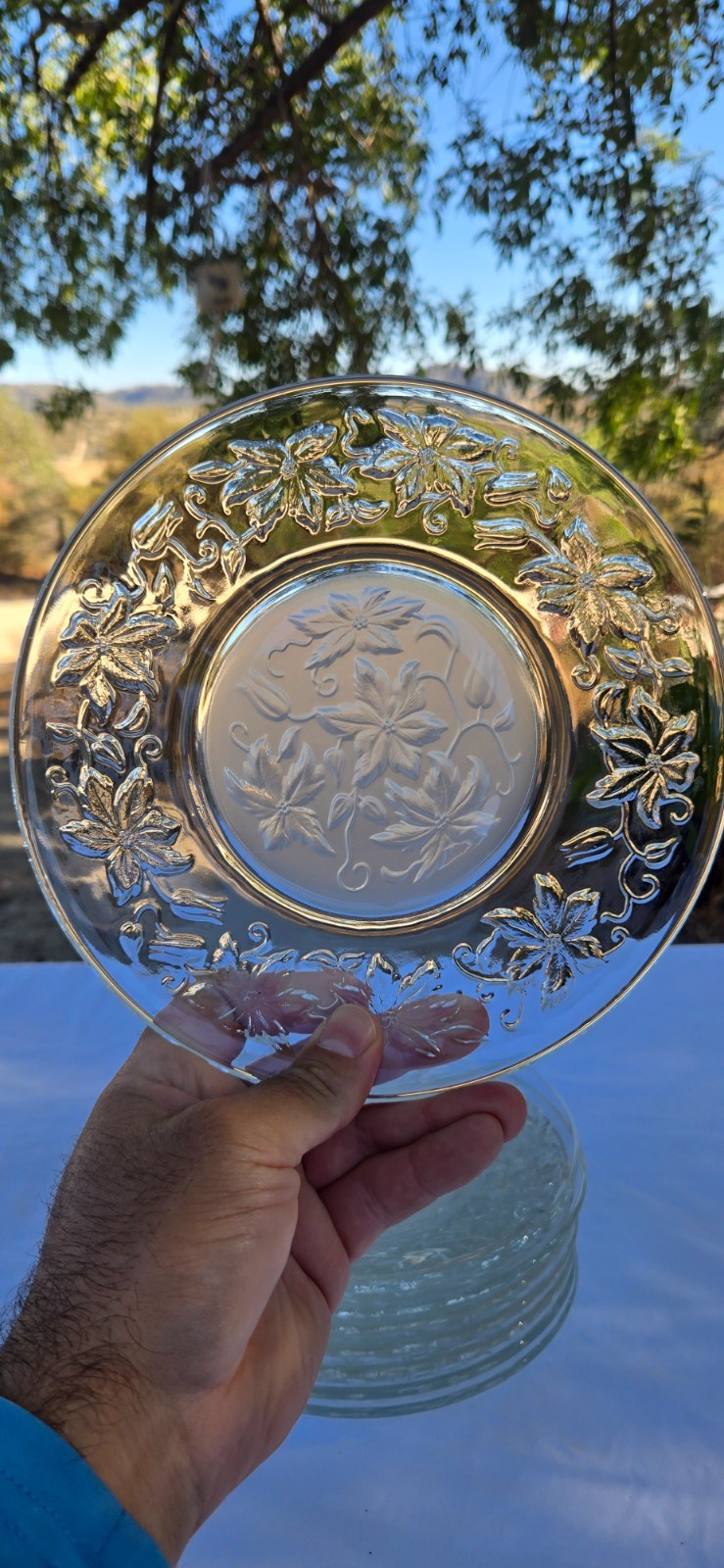 Set of 8x Princess House Fantasia Frosted Glass Crystal 8″ Dessert Salad Plates