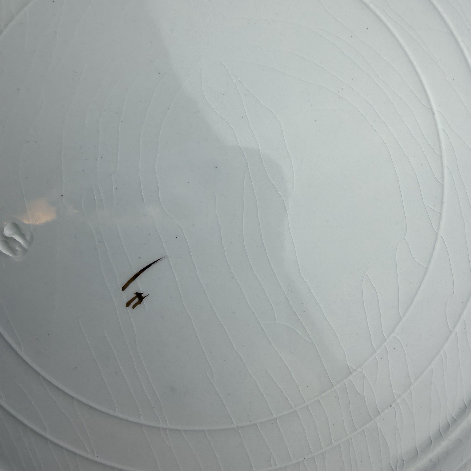Staffordshire Grindley & Co ‘Eileen’ 9″ Dinner or Cake Plate CIRCA 1899-1914