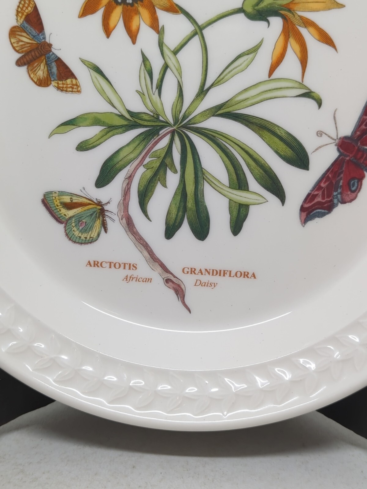 Portmeirion BOTANIC GARDEN HARMONY Papilio Opal 8 3/8″ Salad Plate African Daisy