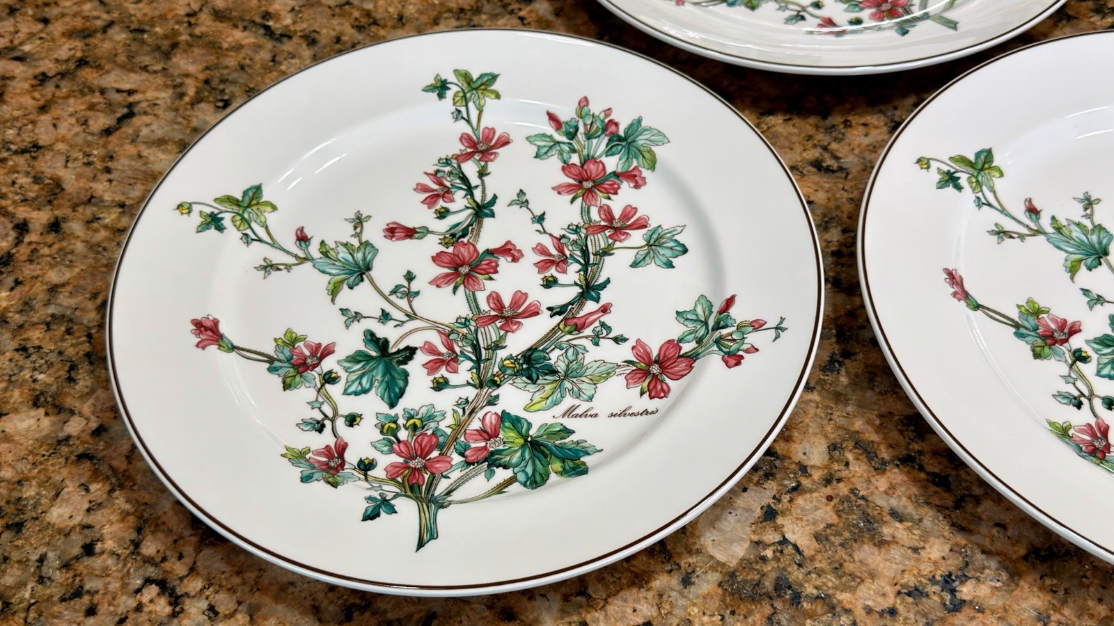 VTG Villeroy Boch Botanica Malva Silvestris 6 Dinner Plates 10-3/8 Luxembourg