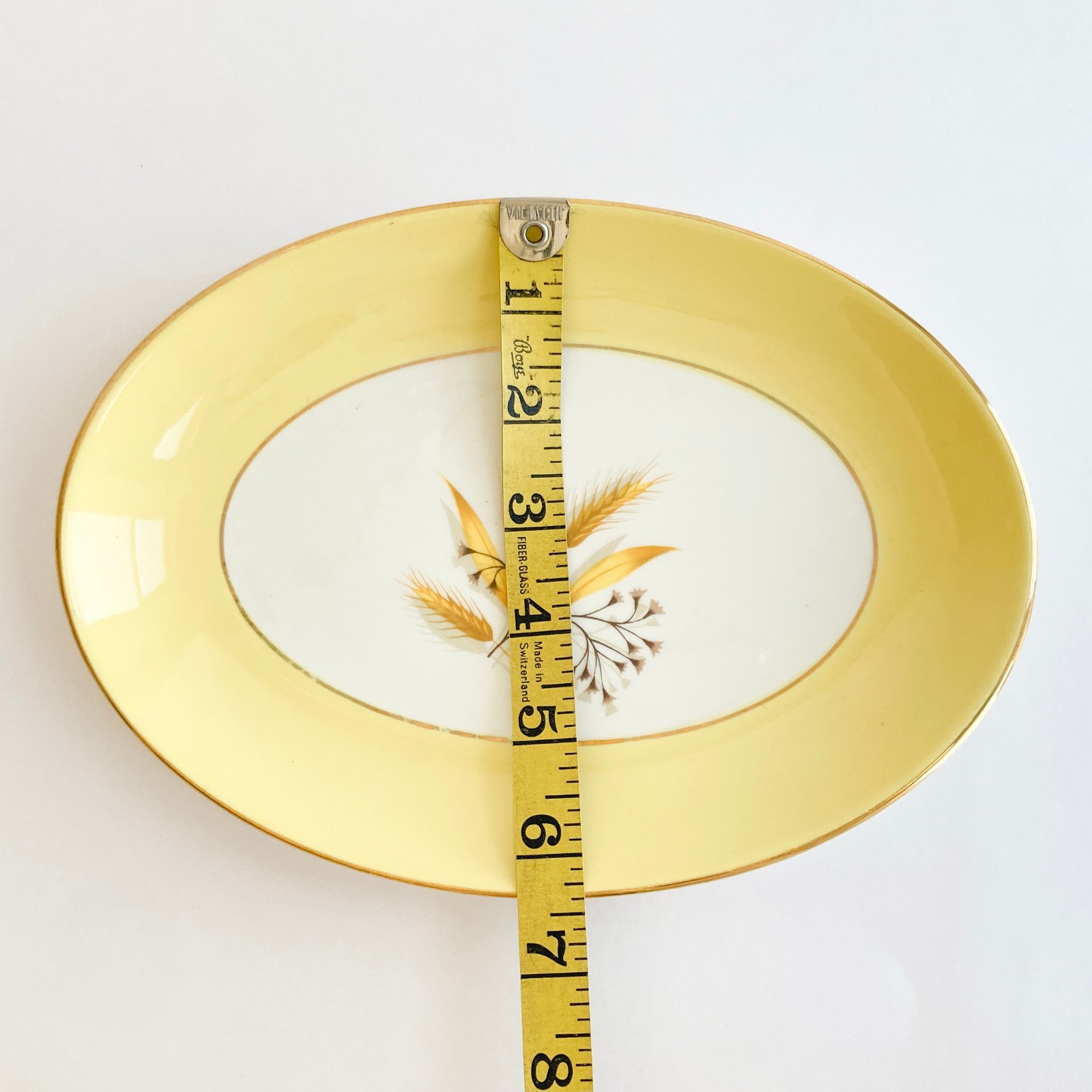 Autumn Gold Century Service 8.5″ Oval Relish Plates Set of 2 VTG Hard-To-Find