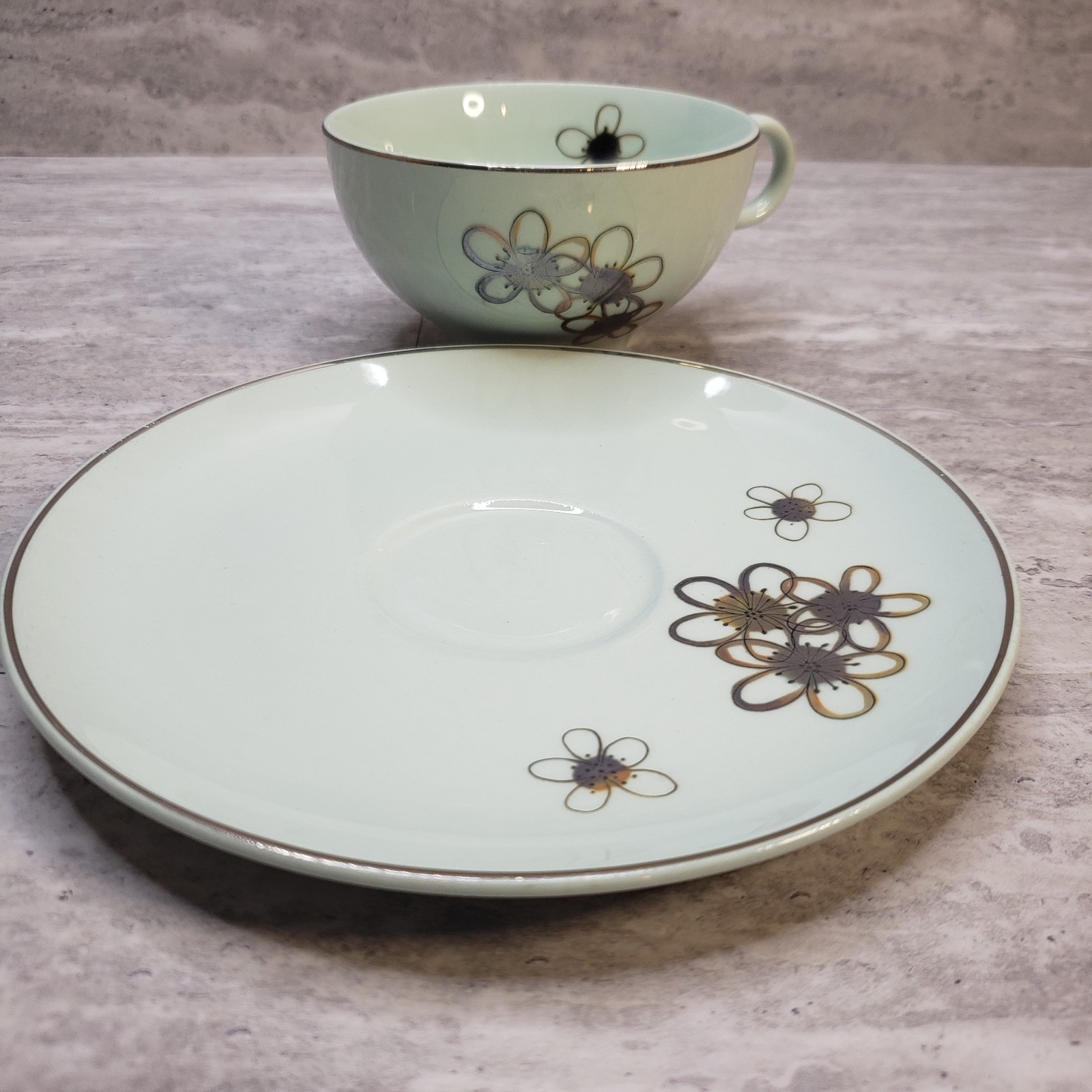 Vintage Nobility Permaware Mist Teacup and Saucer Set