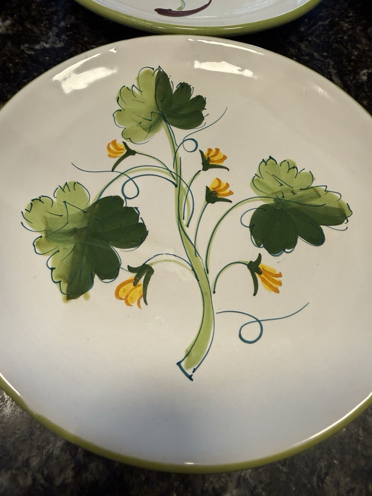 VTG La Primula Italy Decorata a Mano Botanical Salad Plates 7.75” Set of 6