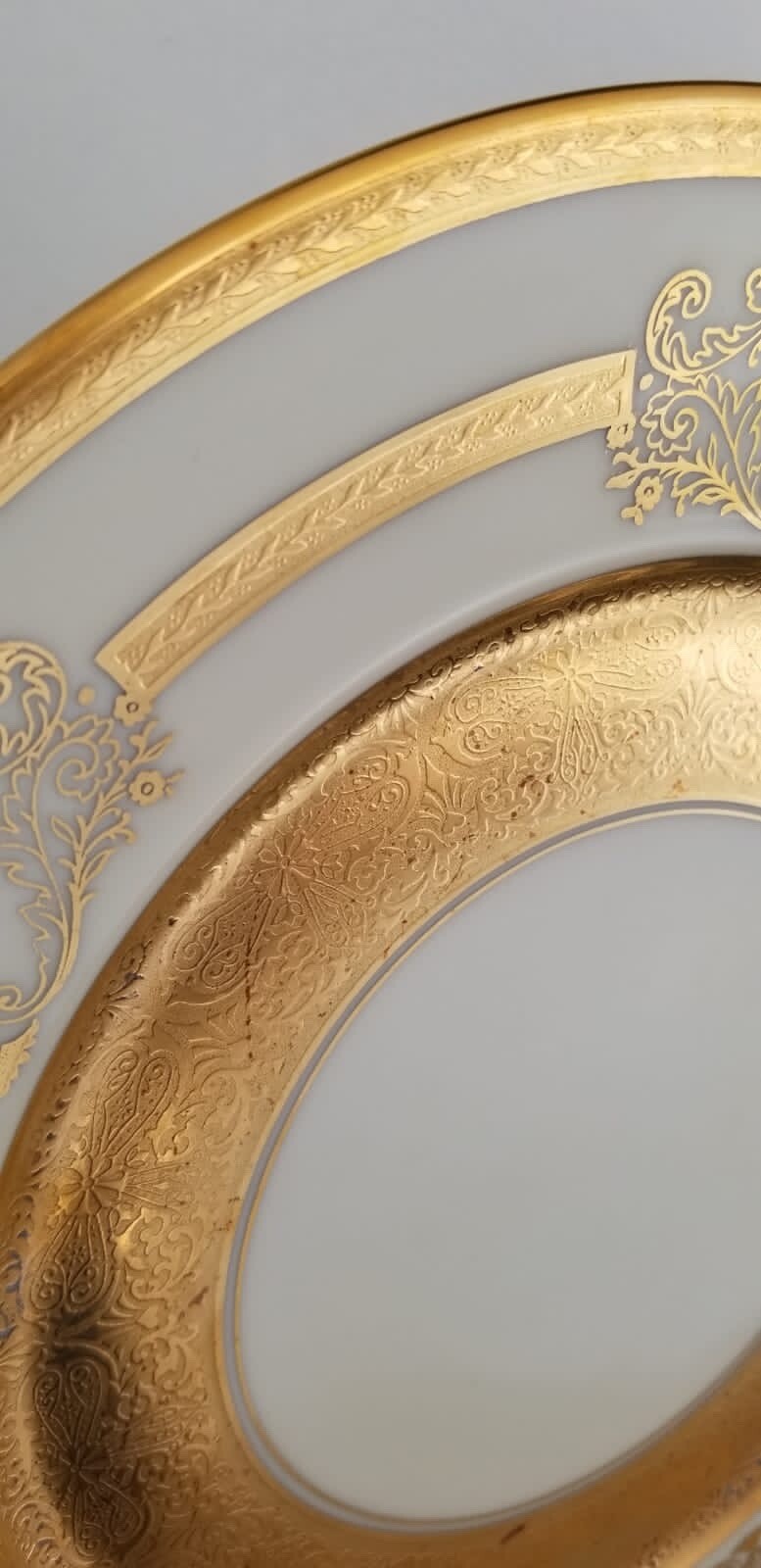 Set Of 12 Bohemian Gilt Porcelain Czeck Dinner Plates e/ Floral Design D 11”