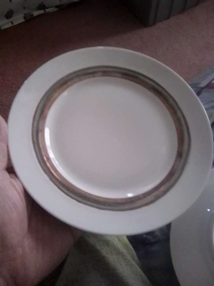 Chinawear Plates (5) Not Sure What Is Stamped On Them.