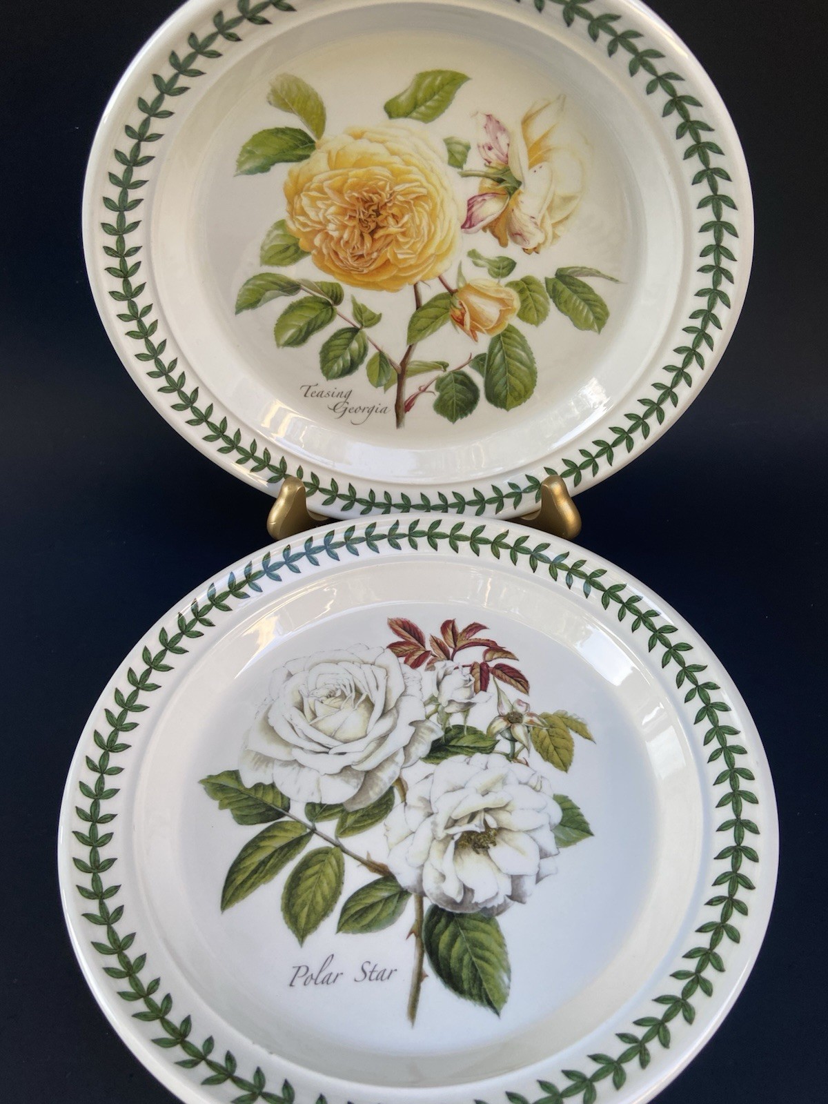 6 Portmeirion Botanic Garden Salad Plates Britain Roses Butterflies 8-1/2”