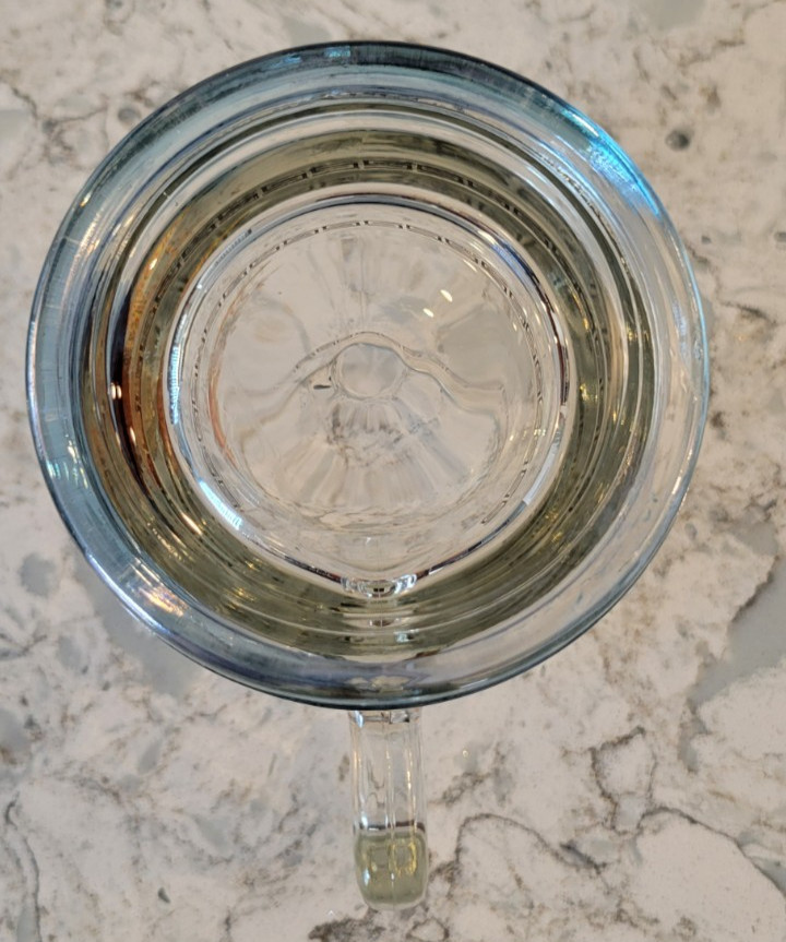 New Vintage Princess House Pheasant Crystal Glass Stein Beer Mug 15 oz 1970’s
