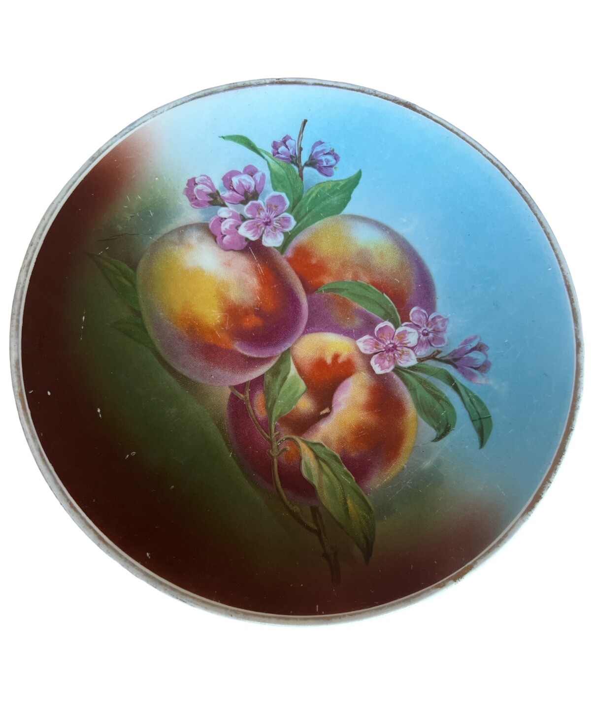 VINTAGE Ceramic Fruit Wall Hanging Plates Decorative Set Of 4 Varies Sizes