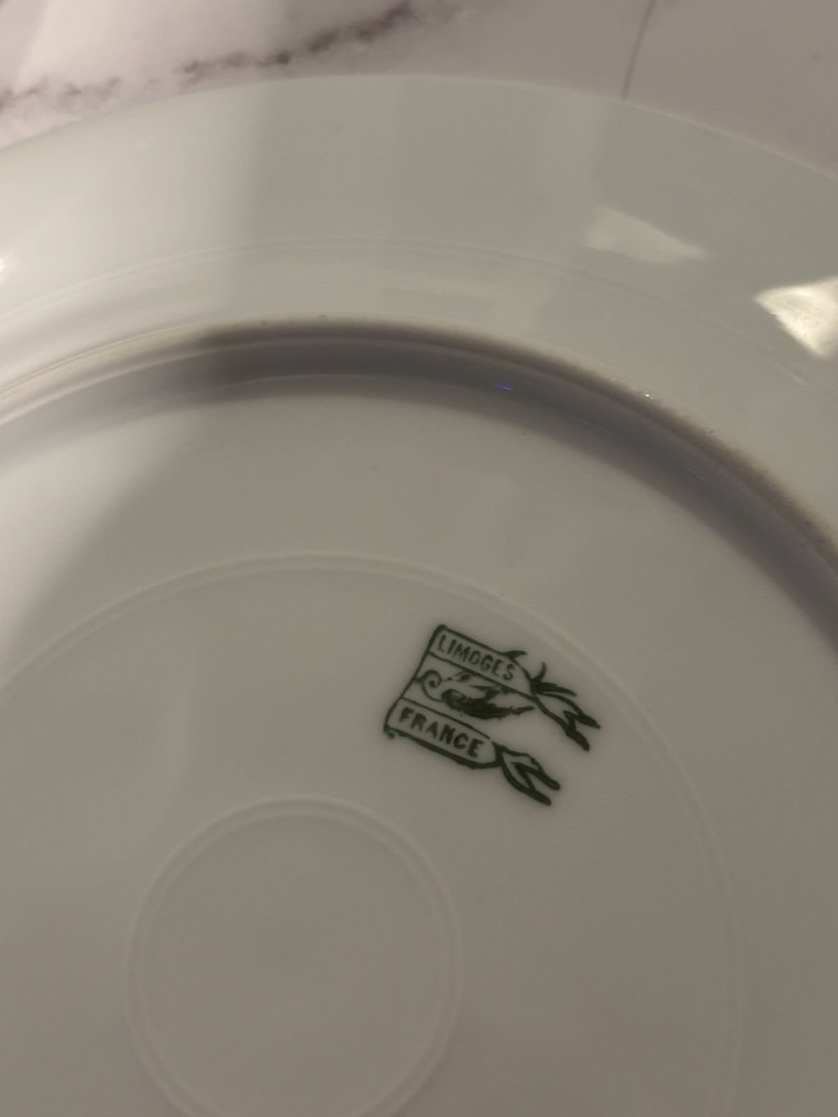 Limoges France Floral Porcelain Plates White Pink Green Salad Plates Set of 6