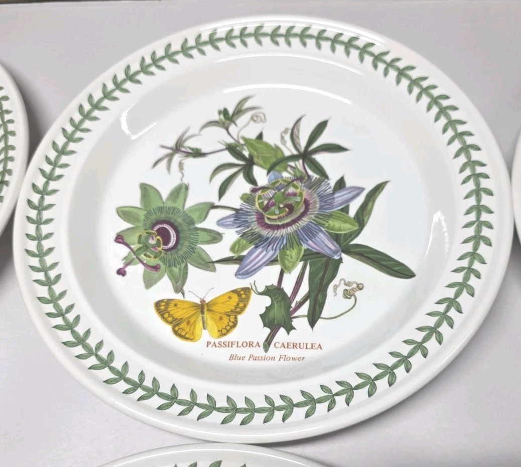 1972 Portmeirion Botanic Garden Set of 6 Rimmed Dinner Plates 10.5” EXC