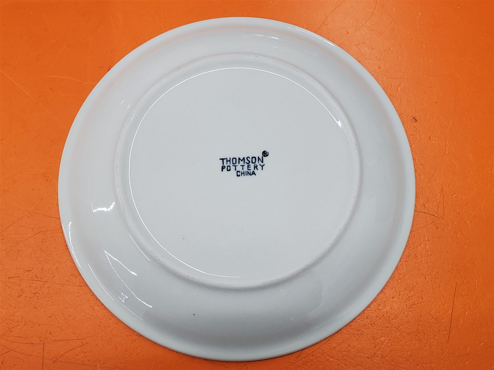 ⭐️⭐️⭐️⭐️⭐️ Thomson Pottery 10.25″ Birdhouse Dinner Plate