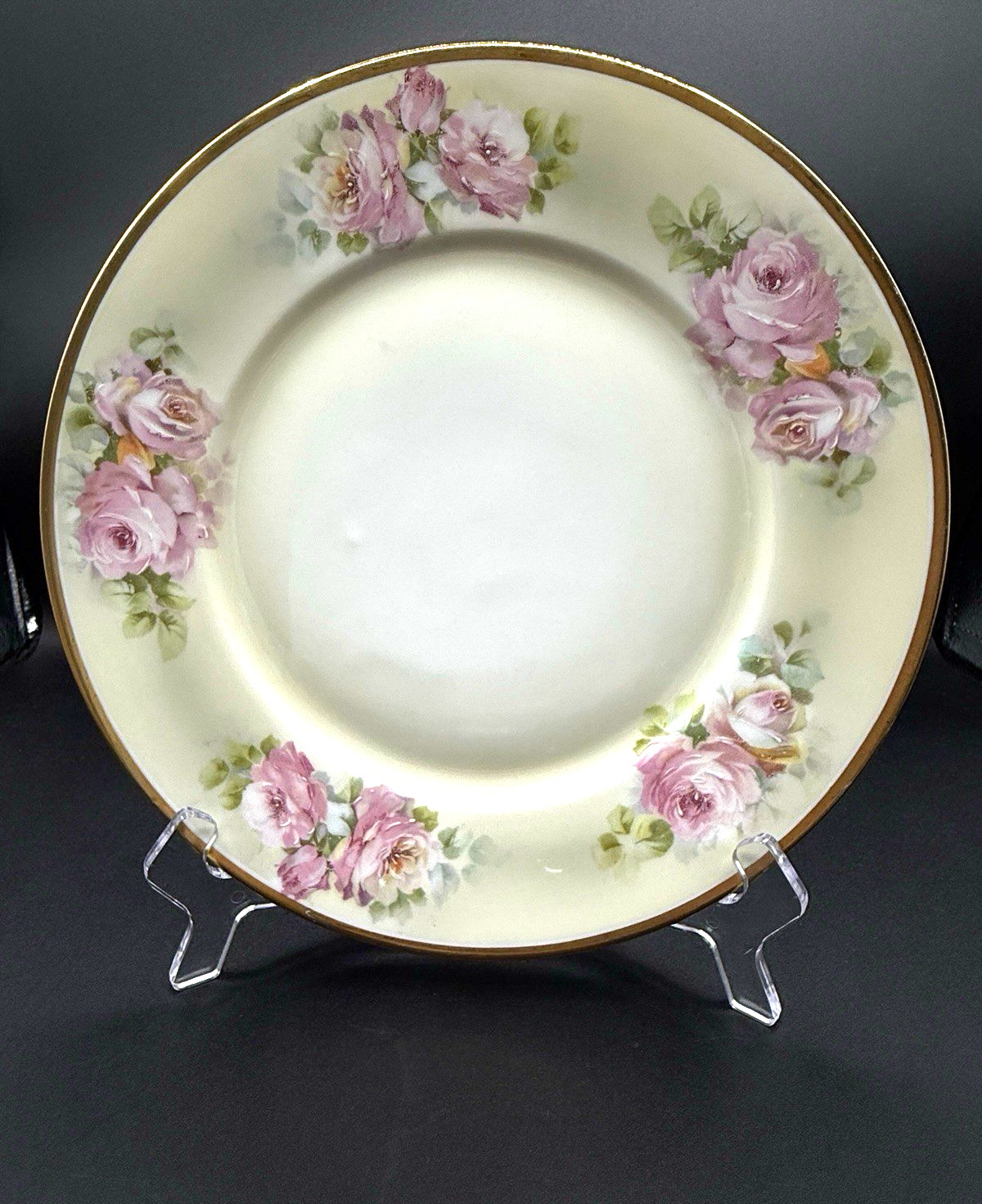 Antique Hutschenreuther Selb Bavaria HAND PAINTED PLATE Tatler Lawson Trenton