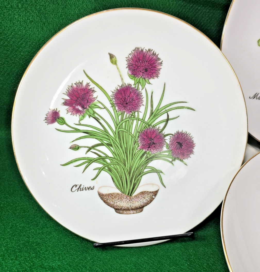 Vtg Herb Garden Wall Hanging Plates Set 4 Japan Parsley Mustard Sage Chives Deco