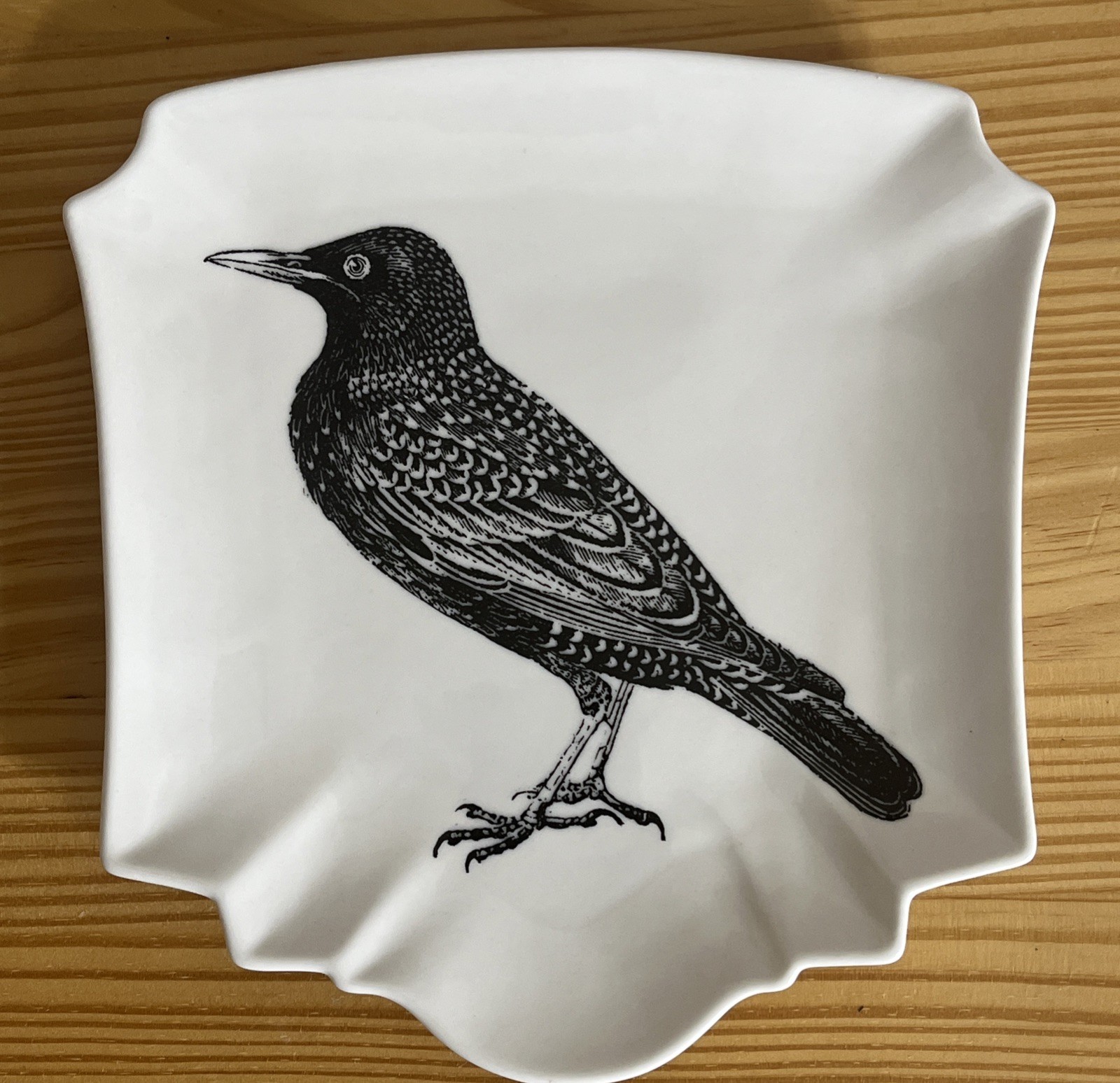Creative Co-Op Botanical Bistro Bird Plates Stoneware Black & White Set of 4