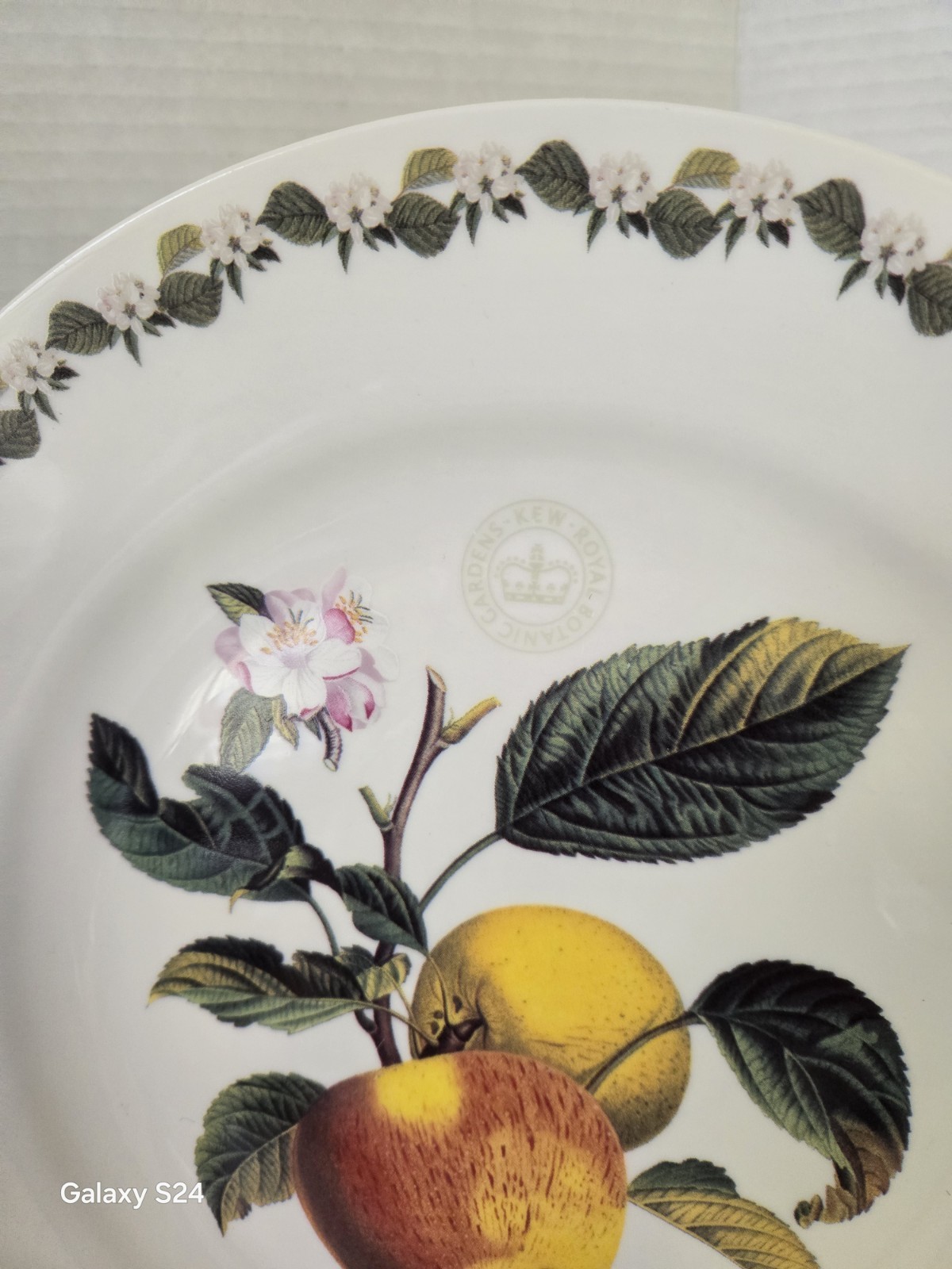 GARDEN KEW ROYAL BOTANIC Fine China Pomme Princess Dinner Plate 10 1/2″