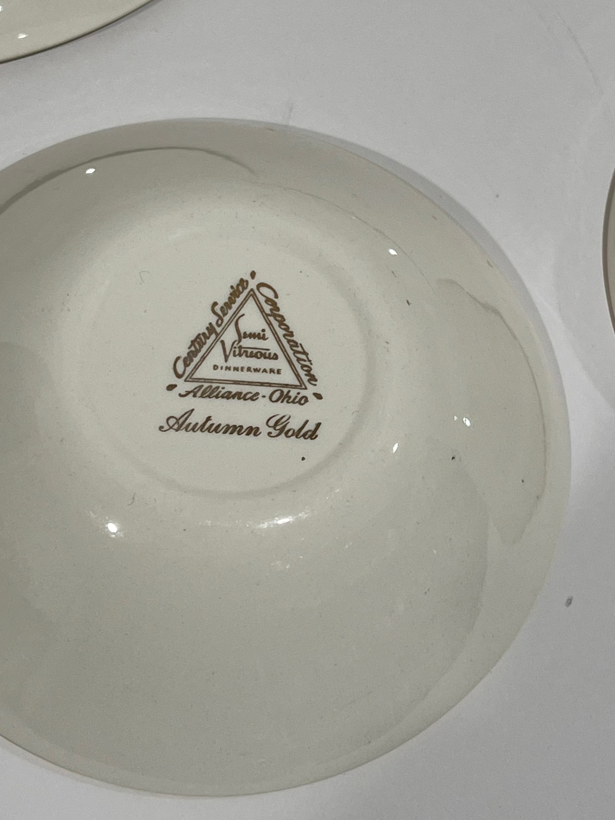 Set of 6 Plates, Bowls Autumn Gold Century Service Semi Vitreous Wheat Yellow