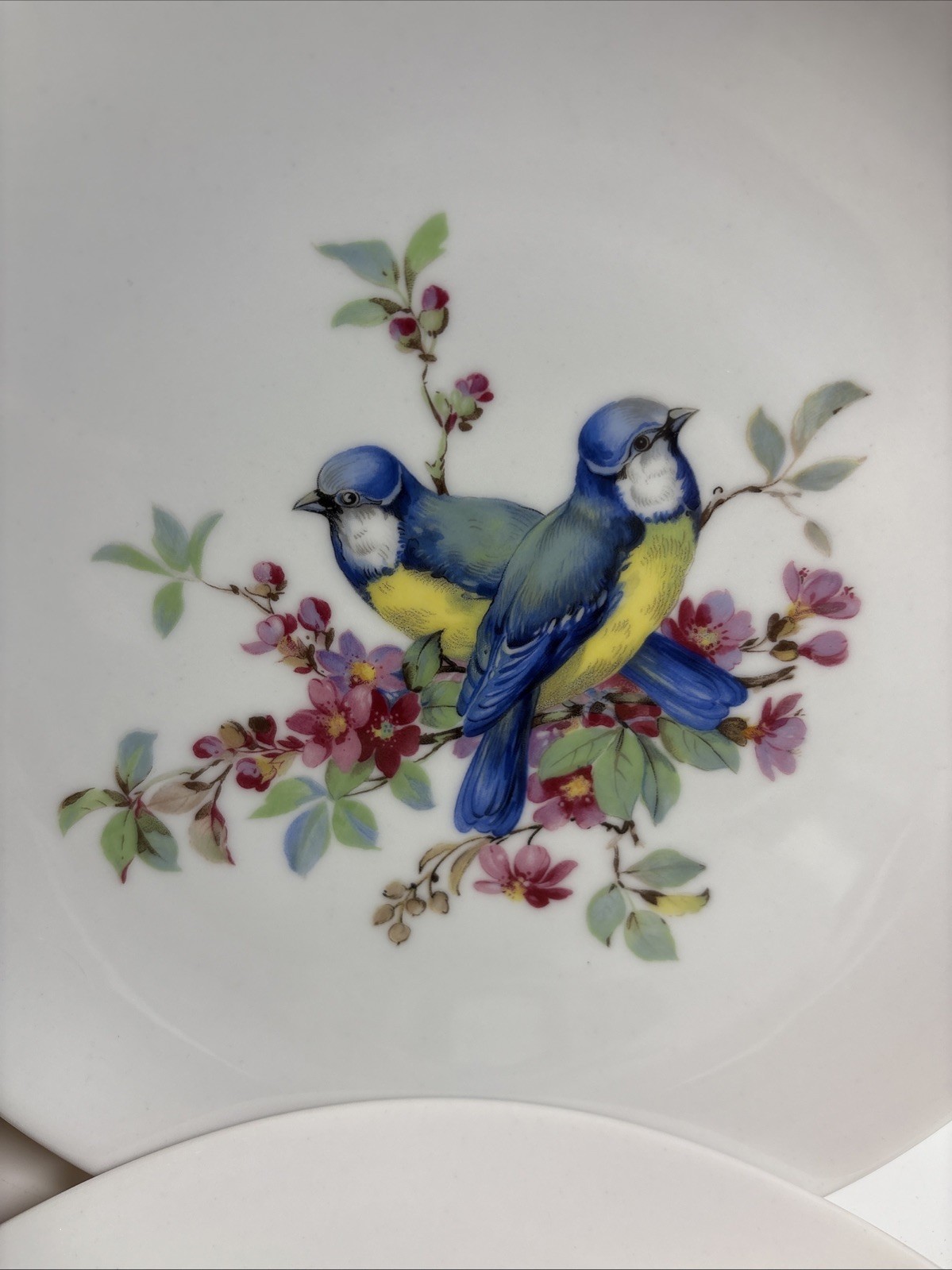 6 Vintage Hand Painted Bird & Floral Porcelain 7 3/4Wall Plates Kaiser W Germany