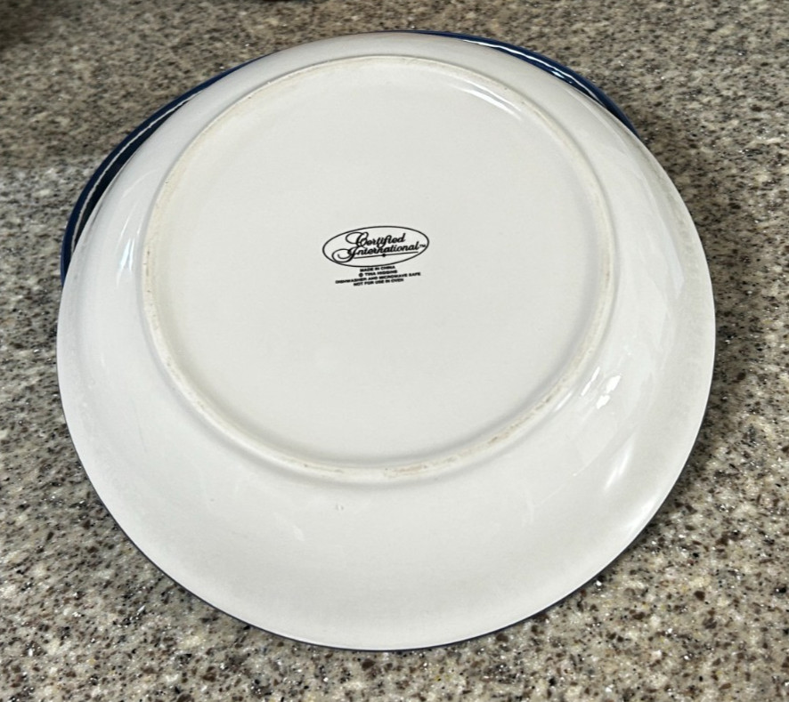 Certified International~Pasta Bowls~Tina Higgins~ 9”x 2” ~Pair