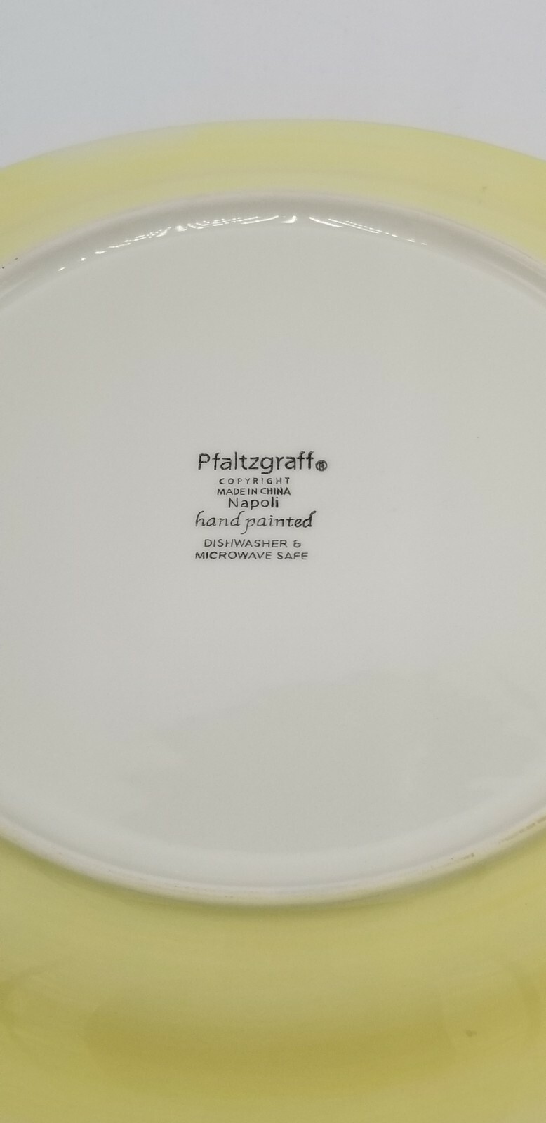 Pfaltzgraff “Napoli” 11 3/4 Inch Dinner Plate