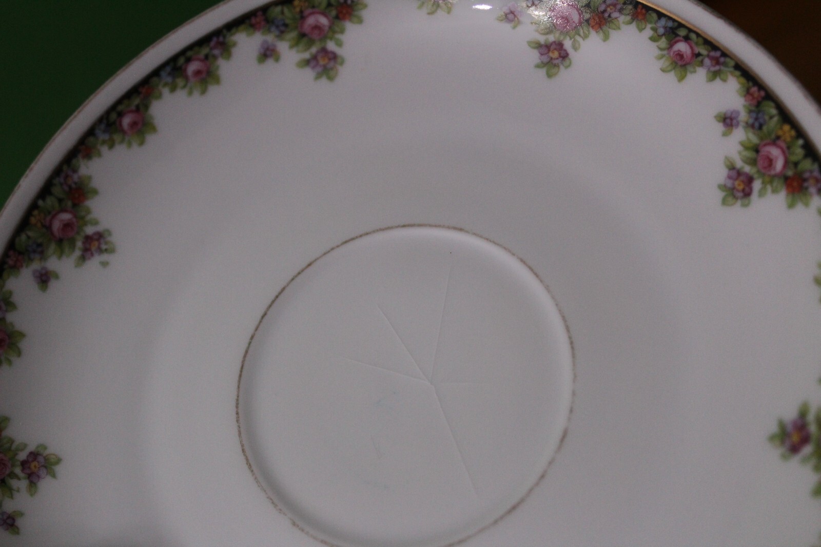 19 Piece MZ CMR Maria Theresa Carlsbad China Czechoslovakia Cups Saucers