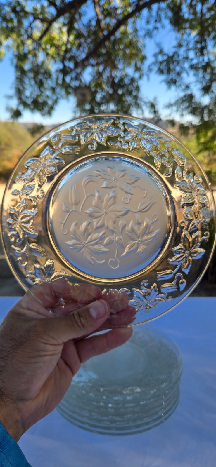 Set of 8x Princess House Fantasia Frosted Glass Crystal 8″ Dessert Salad Plates
