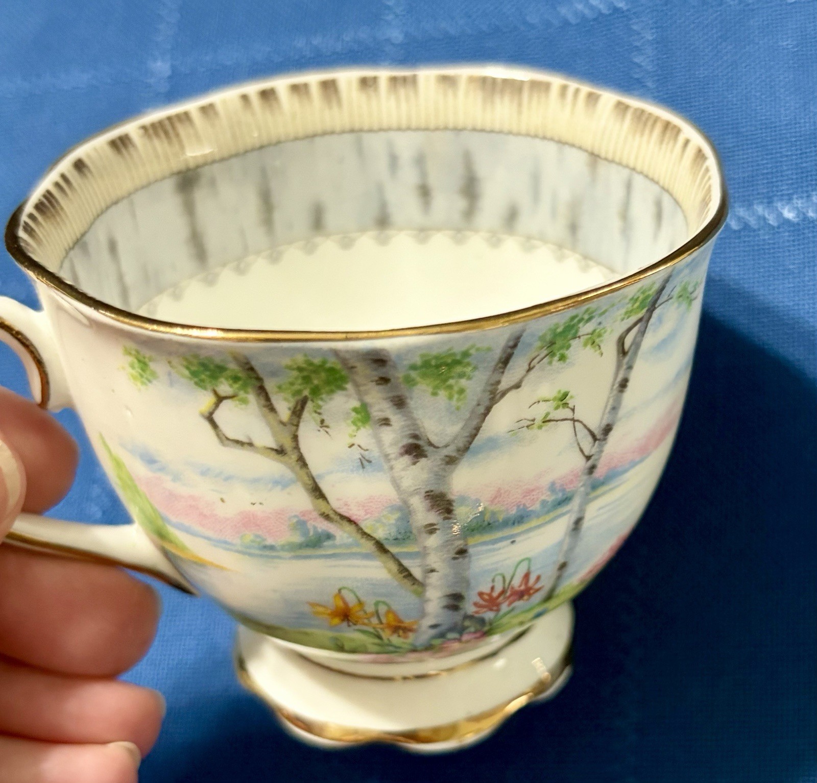 Royal Albert Silver Birch Cake Set for 6 Handled Plate C&S Cups & Saucers Plates