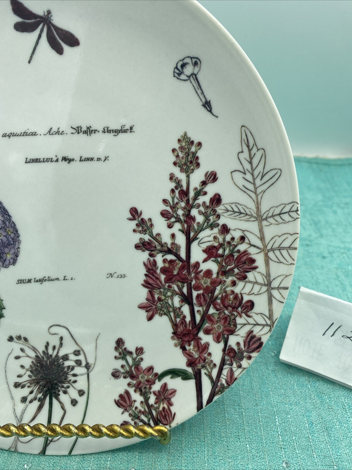 Rosanna 8” Botanical Garden Luncheon Plates~Antique Print 19th Century