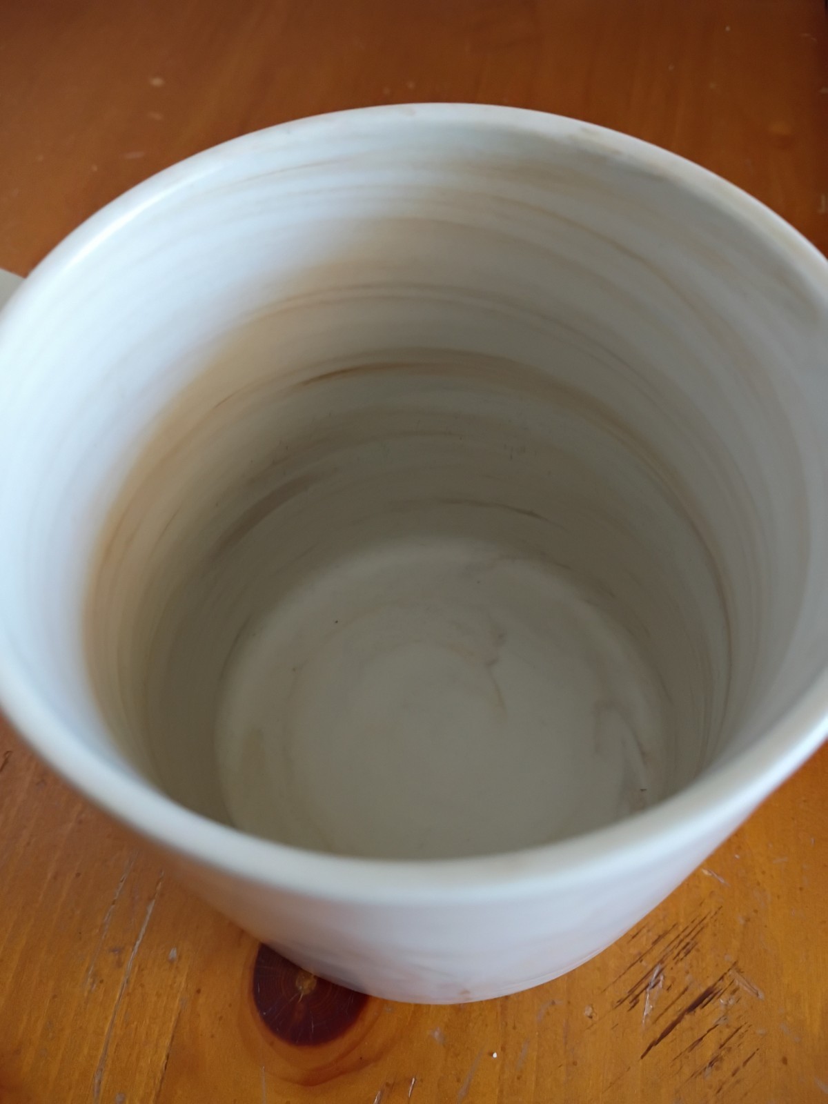 Grand Canyon National Park Mug with Moose Marble Look Ceramic Coffee 15 oz