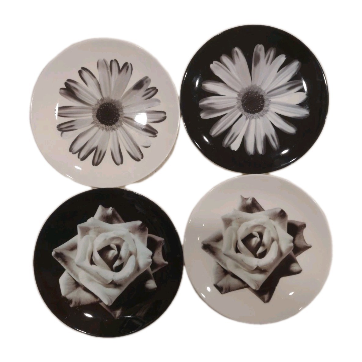 4 Wedgwood NIGHT & DAY BLOOMERS Black White Daisy Rose Salad Plates 8 1/8 Inches