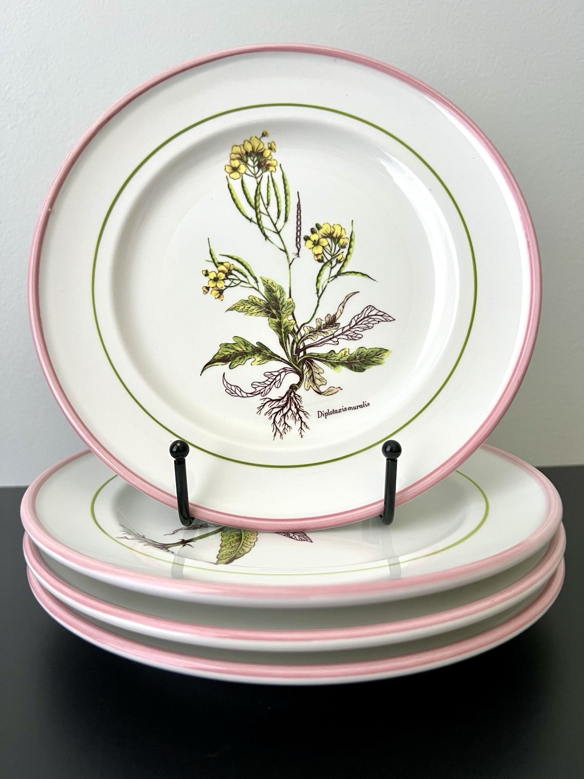 Vintage Botanical Plates 8″ Italy La Primula Hand-Painted Salad Plate Pink Rim