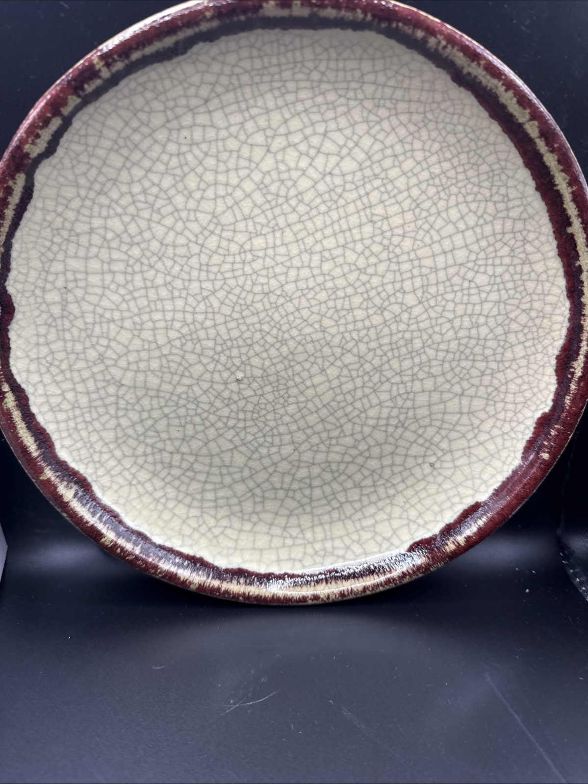 Pier 1 Crackle Collection Dinner Plate 9-1/4 Inches Set of 4 New Unique Plates
