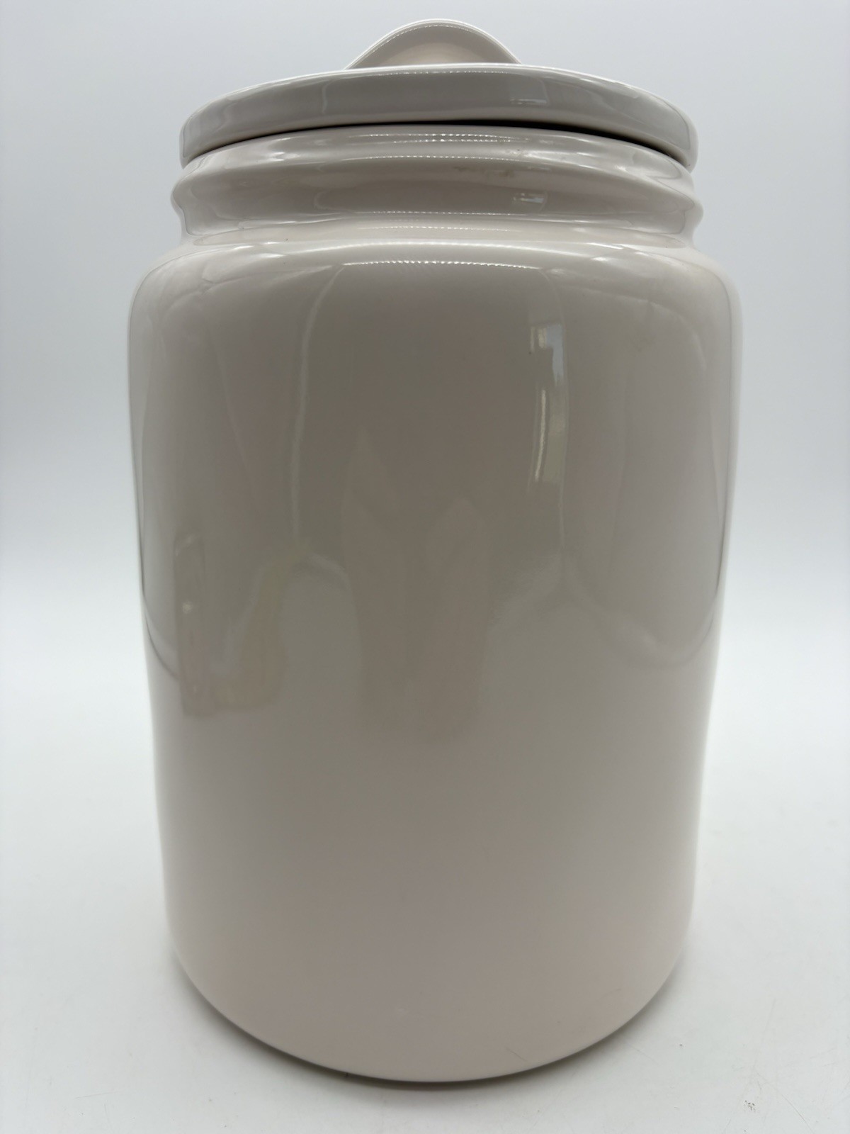 RAE DUNN Artisan Collection Easter “BUNNY TREATS” Canister Cookie Jar by Magenta