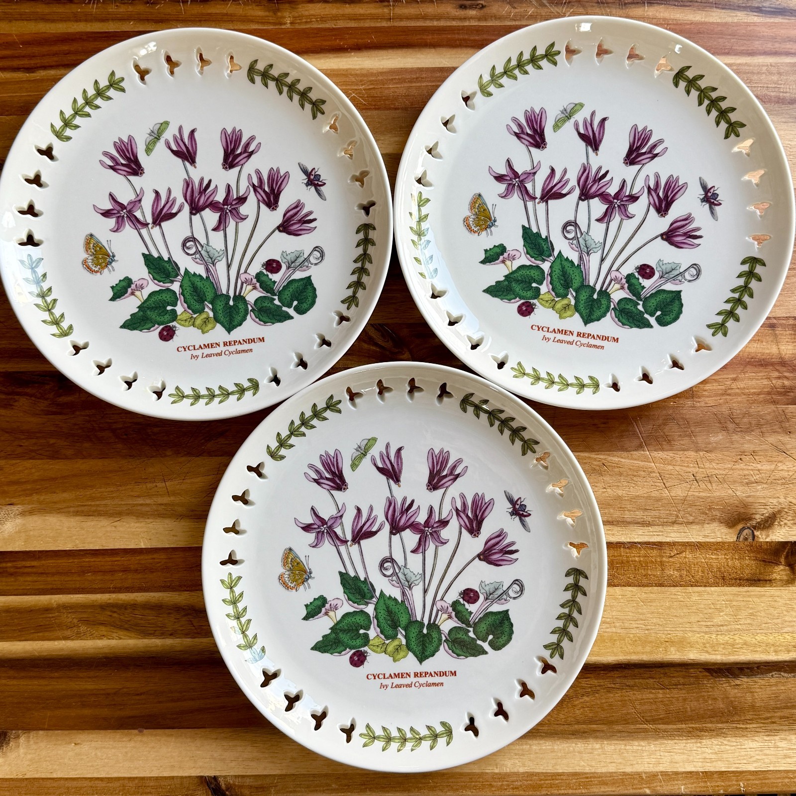 Botanic Garden by Portmeirion Rare Pierced Edge 8.5″ plate-Ivy Leaved Cyclamen