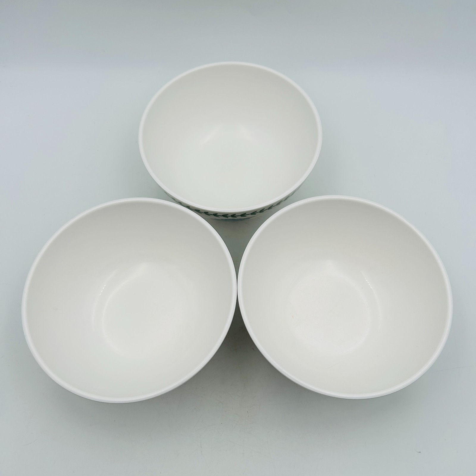 BOTANIC GARDEN Portmeirion Hydrangea Melamine Soup Cereal Bowl 6″ Set of 3