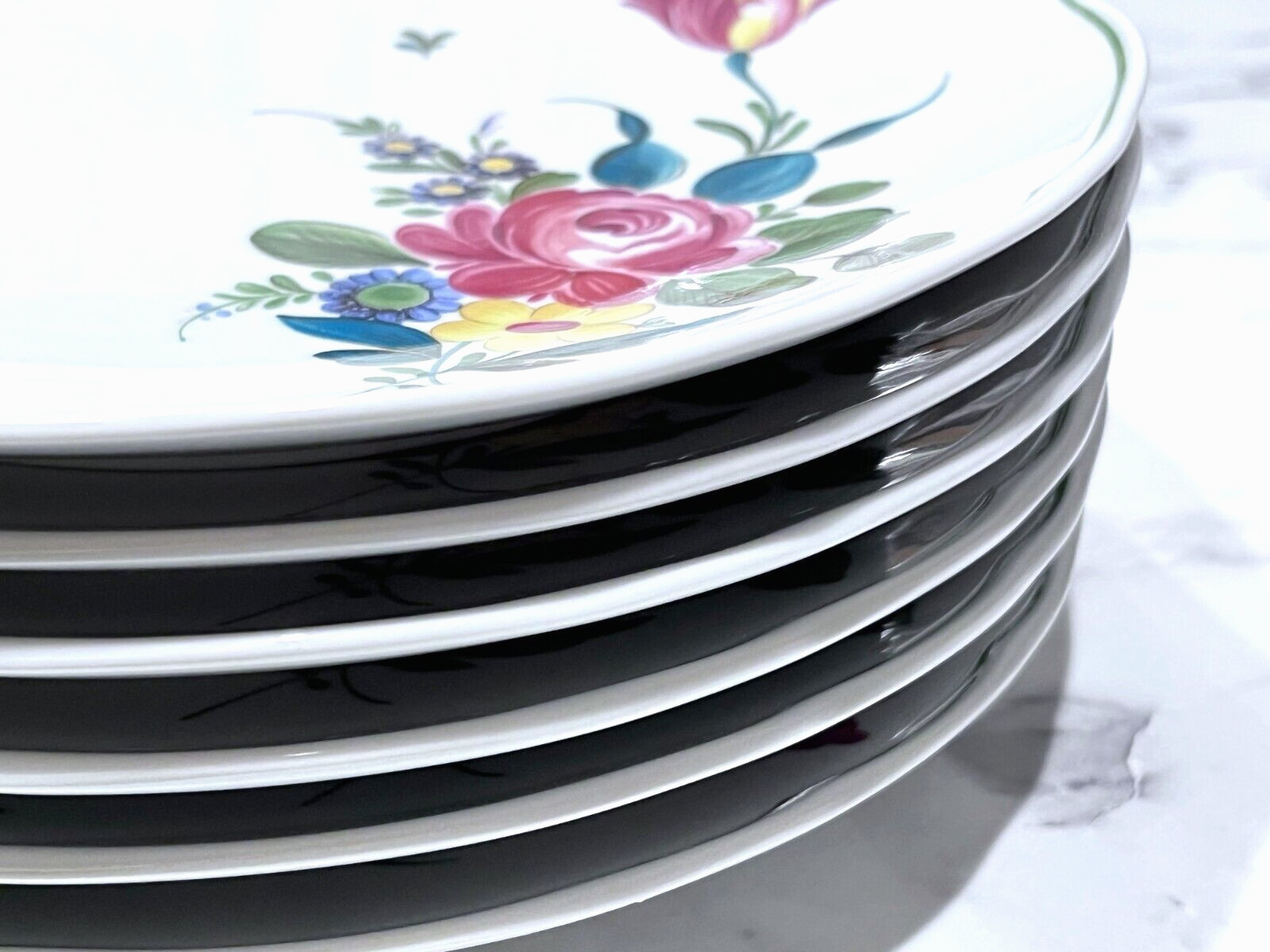 6 Hutschenreuther Engadin Maria Theresa Hotel 9 1/2″ Plates Germany Scarce EC!