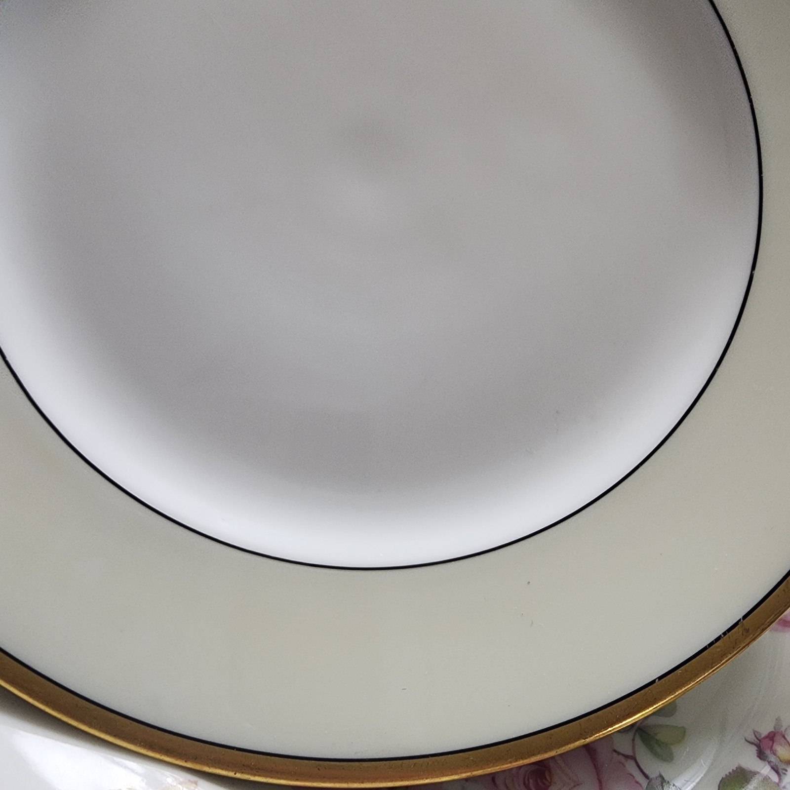 Mixed Roses TK Thun Bohemia & Paul Muller Selb Bavaria Dinner Salad Plates Roses