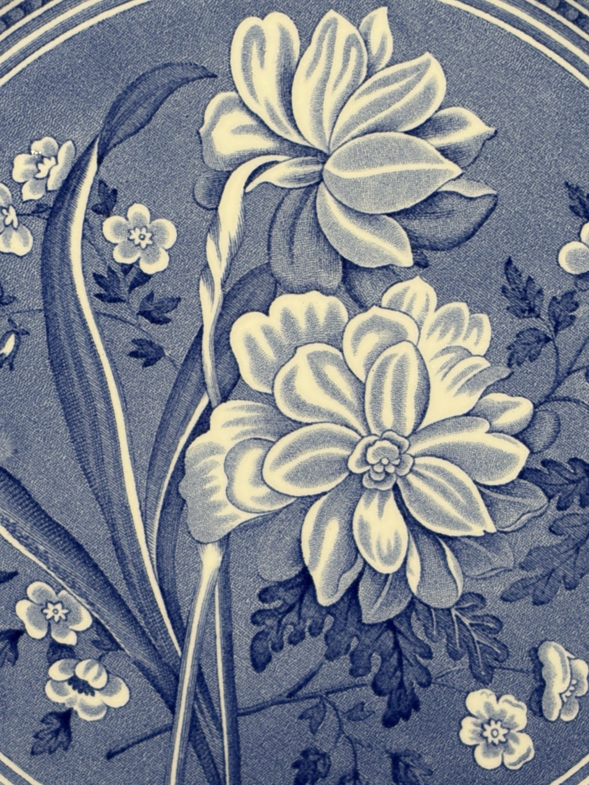 The Spode Blue Room Collection “Botanical” Plate Made In England 10.5″