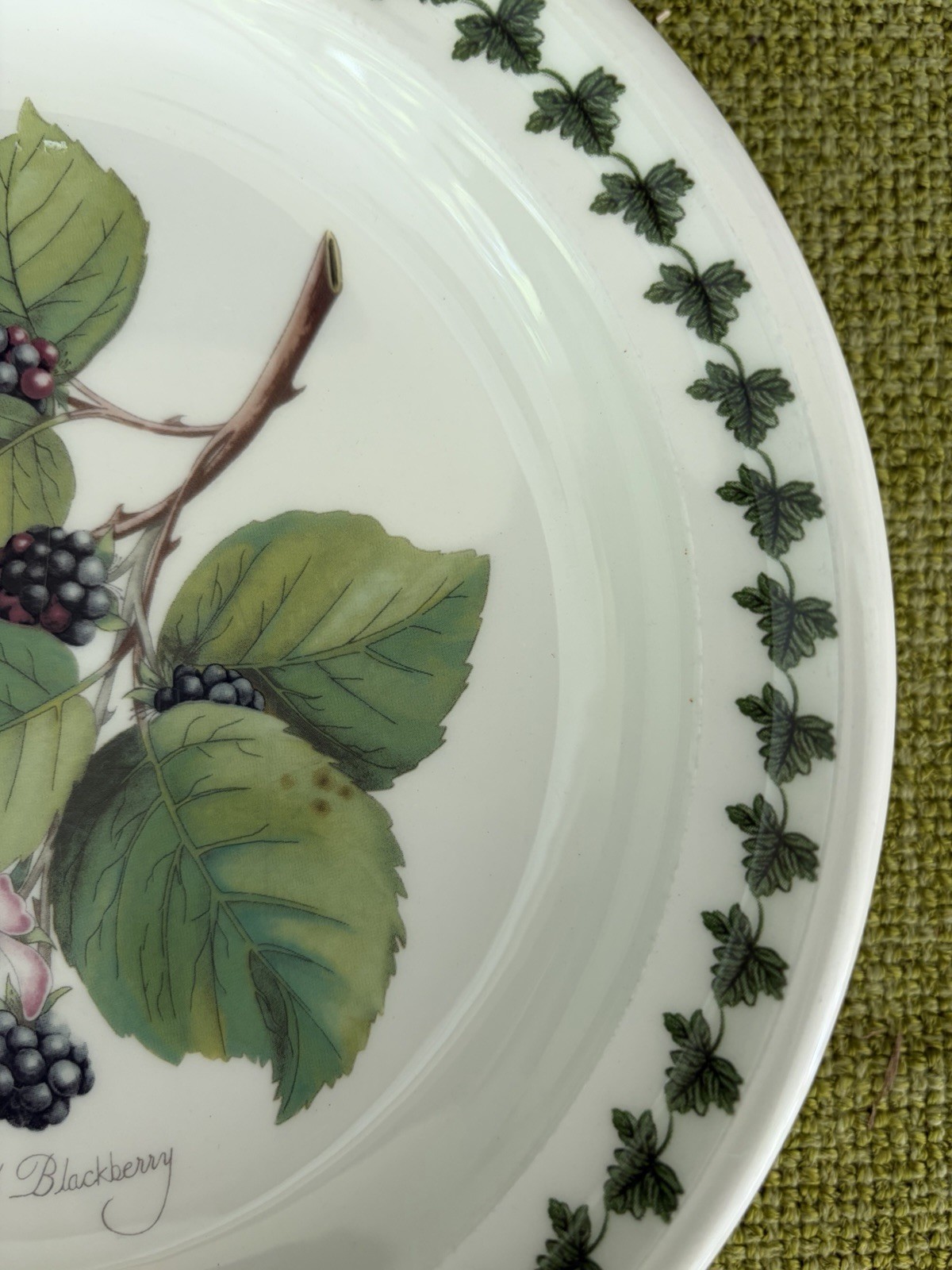 3 Portmeirion Pomona 8/58” Salad Plates w/Border-Fruit Patterns Made In England