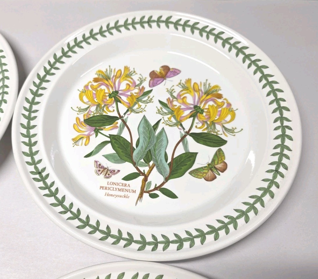 1972 Portmeirion Botanic Garden Set of 6 Rimmed Dinner Plates 10.5” EXC