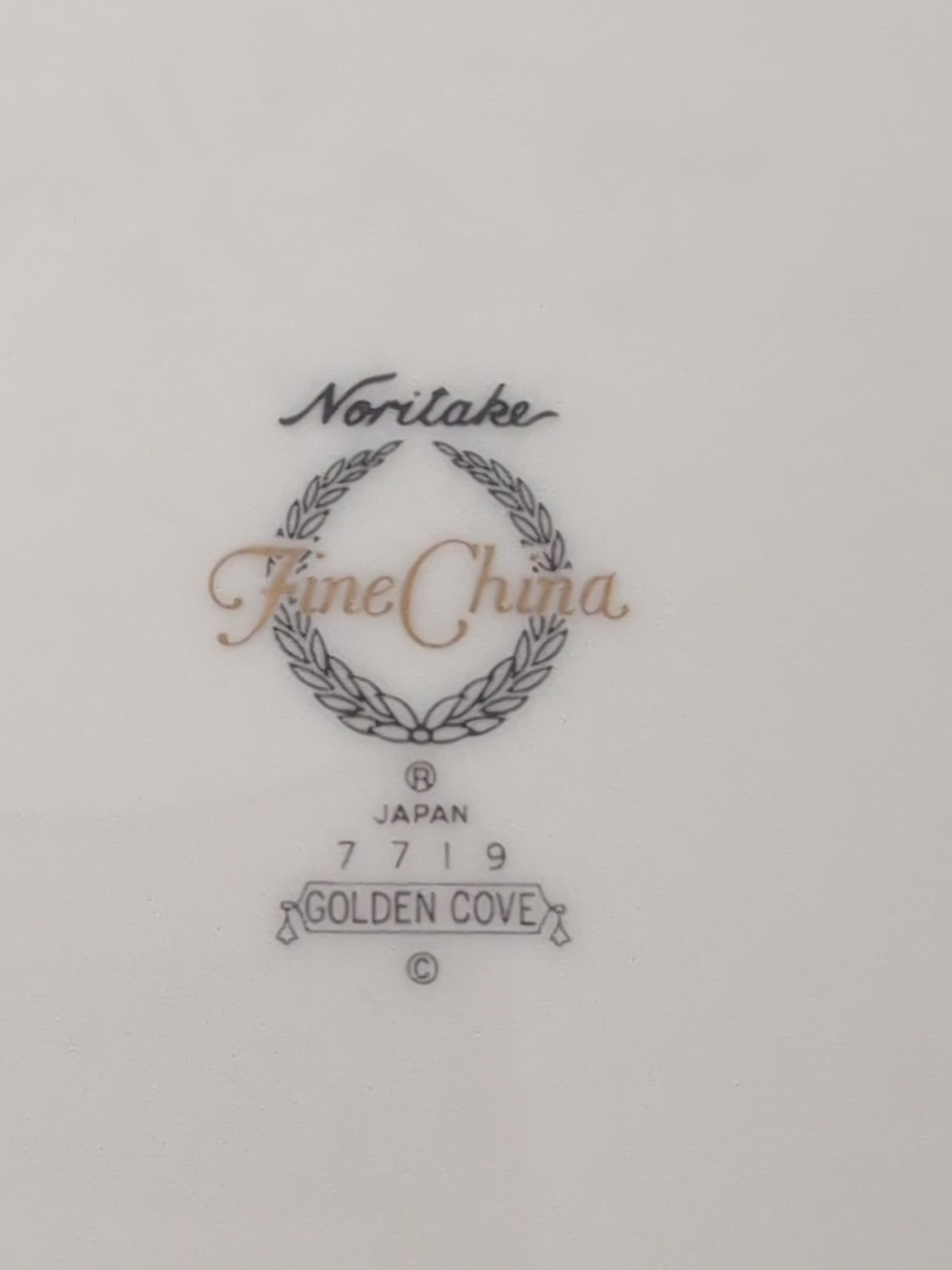 Noritake Fine China 7719 Golden Cove Plate, Gold Trim, 10 5/8 Inches