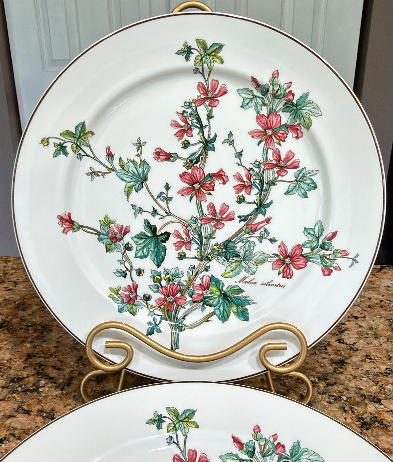 VTG Villeroy Boch Botanica Malva Silvestris 6 Dinner Plates 10-3/8 Luxembourg
