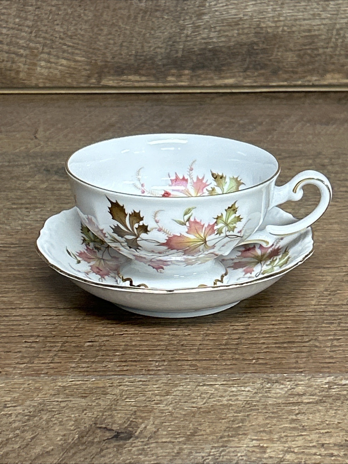 Mitterteich Bavaria Tea Coffee Cup Saucer Autumn Leaves Gold Pink Footed