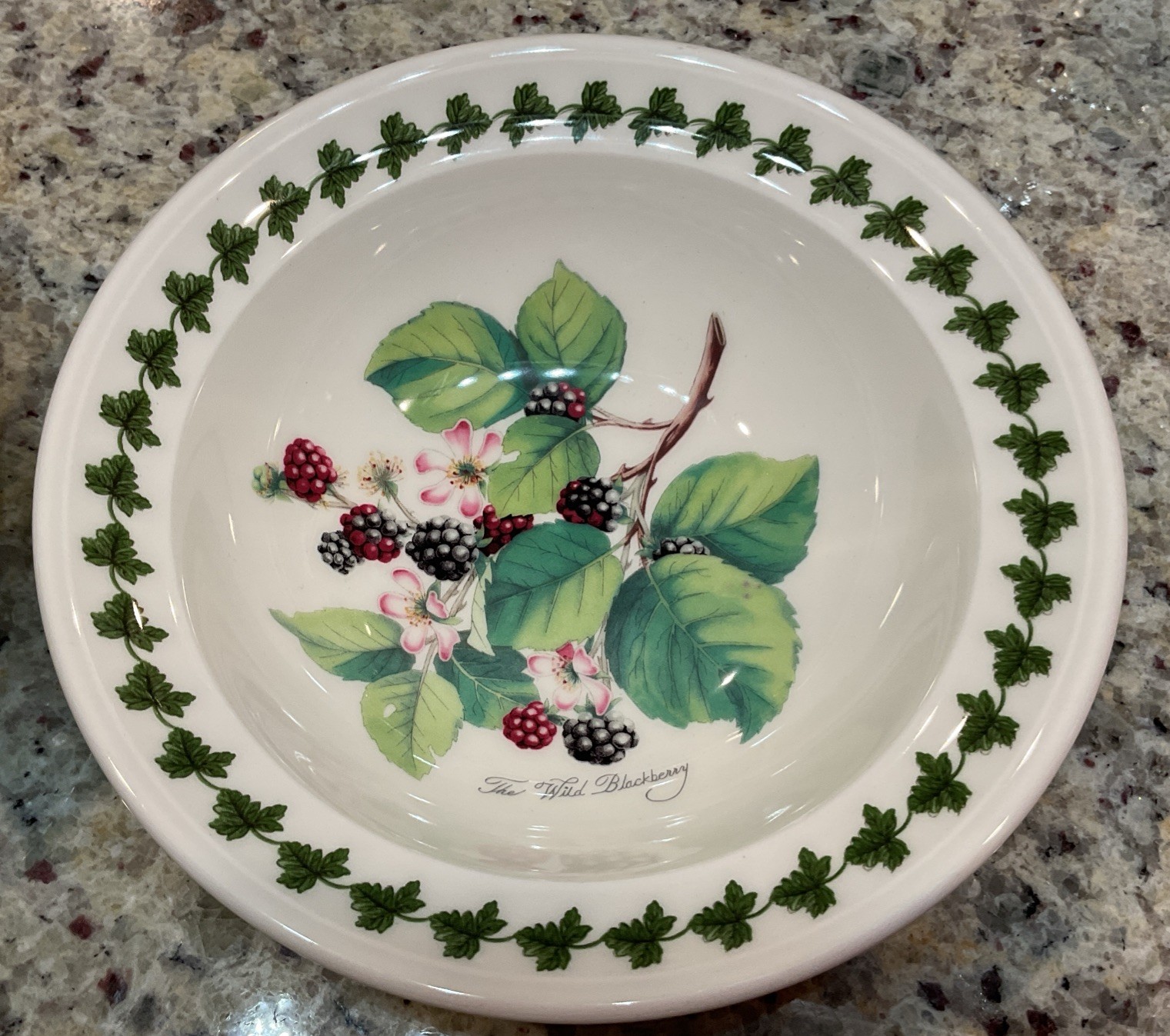 PORTMEIRION Set of 6 POMONA Rimmed Oatmeal Bowls – 6.5 in Made In England NWT