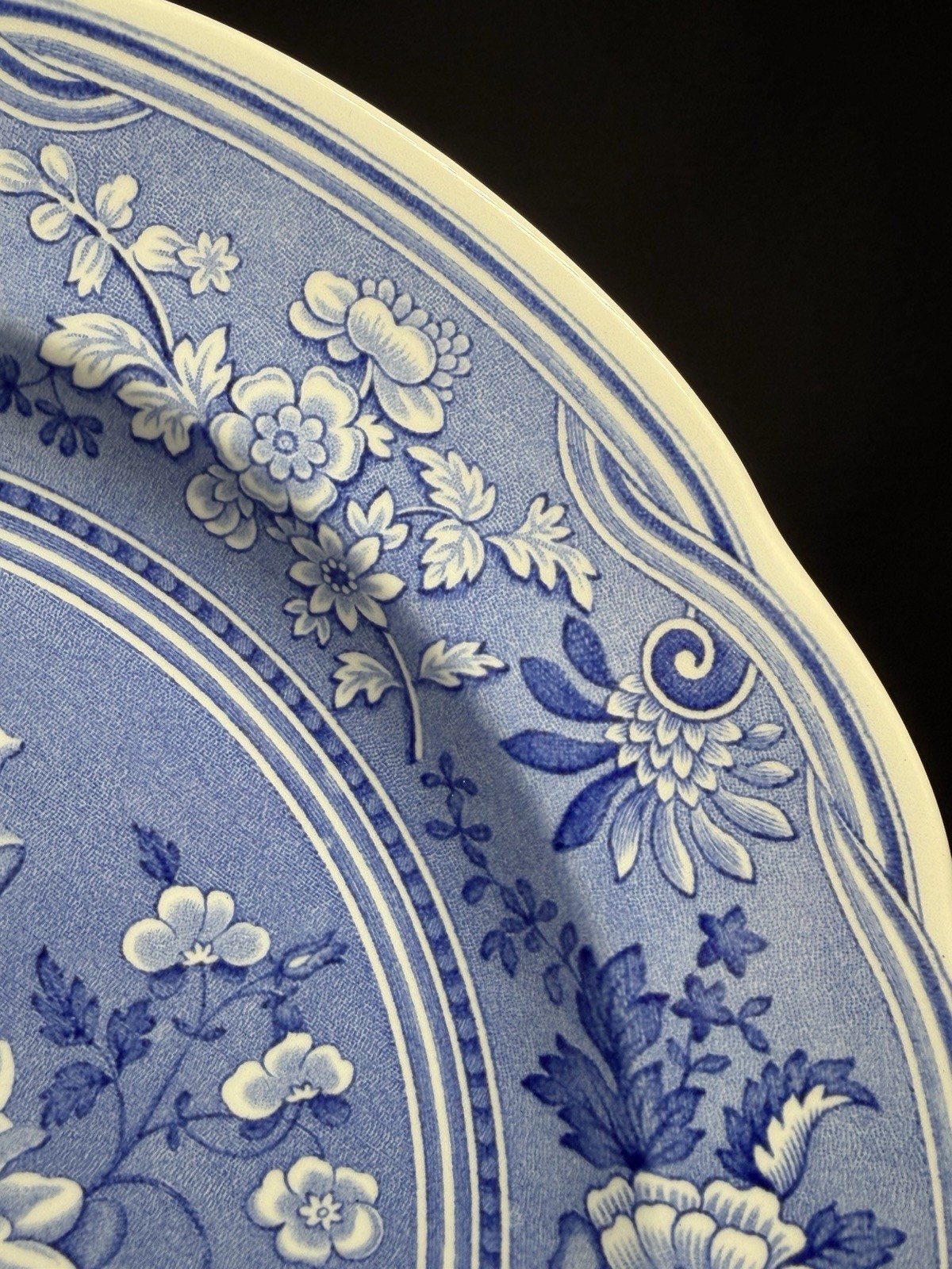 The Spode Blue Room Collection “Botanical” Plate Made In England 10.5″