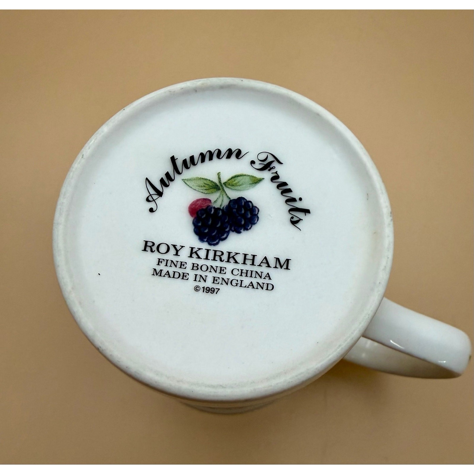 Roy Kirkham Autumn Fruits Fine Bone China Apple Berry Tea Coffee Cup