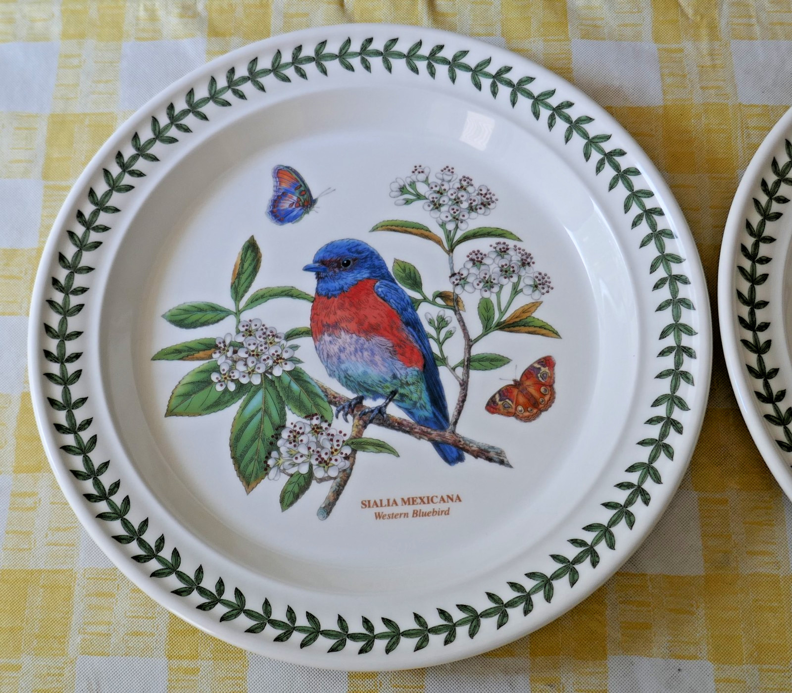 Portmeirion Botanic Garden Birds Dinner Plates Scarlet Tanager Western Bluebird
