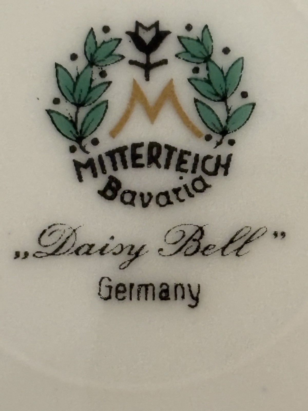 102 Piece Vintage Mitterteich Bavaria “Daisy Bell” China Set