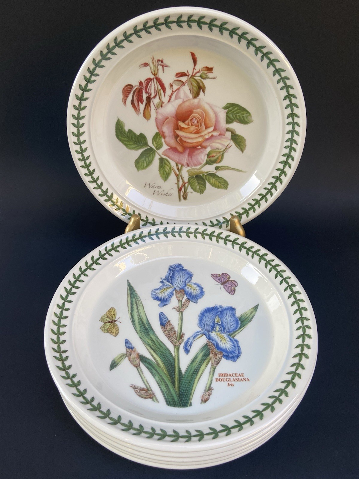 6 Portmeirion Botanic Garden Salad Plates Britain Roses Butterflies 8-1/2”