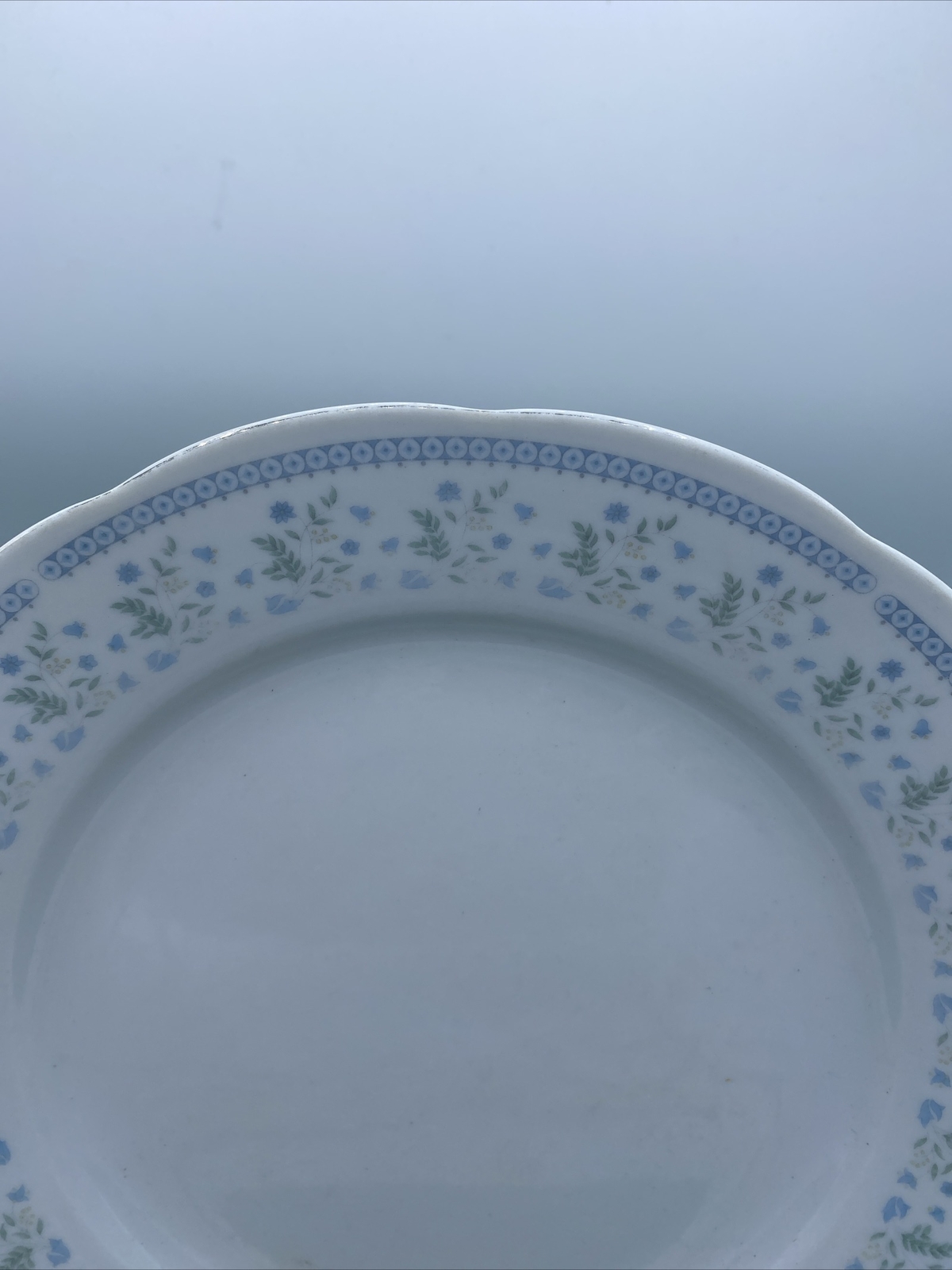 GUC-China-Blue/Green Bluebell Pattern 10” Dinner Plate