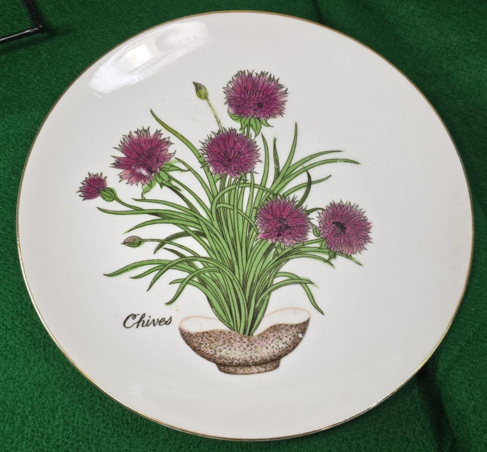 Vtg Herb Garden Wall Hanging Plates Set 4 Japan Parsley Mustard Sage Chives Deco